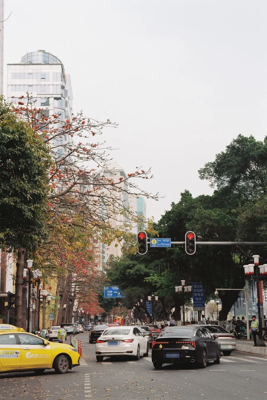 Cars waiting at a red light on a Guangzhou street, one carrying a green new-energy licence plate among blue conventional ones