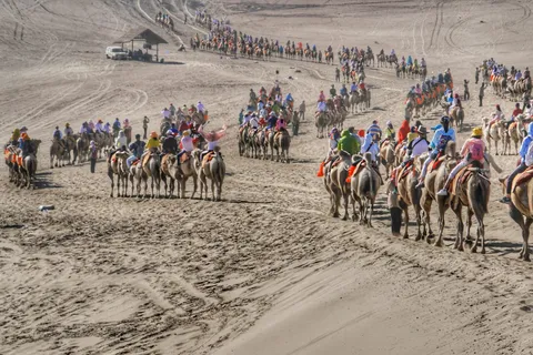 A camel caravan of tourists crossing the Mingsha sand dunes near Dunhuang