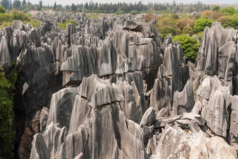 Jagged grey limestone pillars at Shilin Stone Forest near Kunming